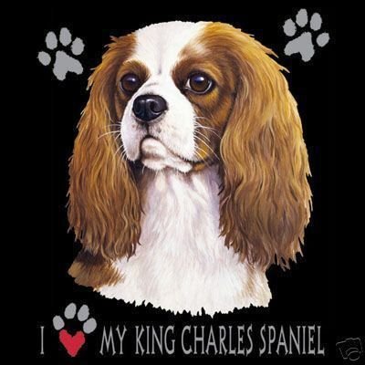 Cavalier King Charles Love Long Sleeve T Shirt  