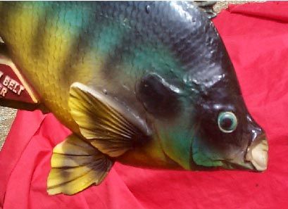   Belt Beer Chalkware Sun Fish Fish Plaster Plaque Wildlife Sign  